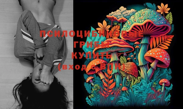mix Иннополис
