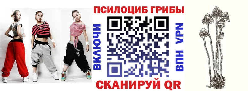 Купить закладки  Заполярный  Галлюциногенные грибы мухоморы 