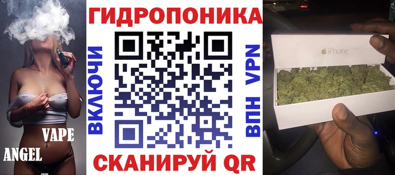 Конопля White Widow  Купить закладки  Заполярный 